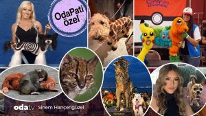 Dünya tartışıyor: Köpekler tuval mi... Nedir bu 'creative dog grooming'