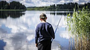 Perhe | Lapsi ei vastannut soittoon, ja puhelimen sijainti osoitti järveen