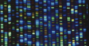 Intelligent Design Bears Good Scientific Fruit in the Study of 'Junk DNA'