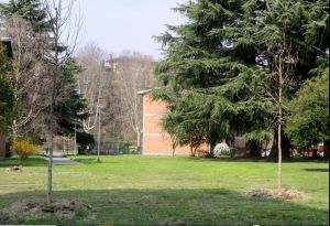 I volontari del verde di Ivrea in media 70enni “Servono giovani del quartiere”
