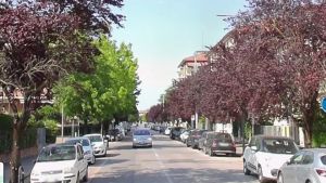 Anziano muore investito da un’auto in retromarcia