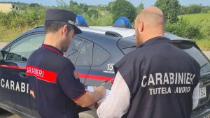 Controlli nelle aziende agricole in Friuli, sanzioni per oltre 50 mila euro: quattro imprese nei guai