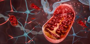 Fotobiomodulación: así funciona el tratamiento de luz para reducir los daños de la radioterapia en la piel
