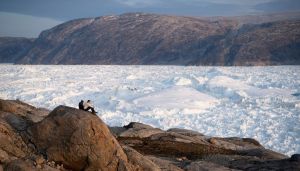 Trump, don’t stop with Greenland. Take Hans Island, too