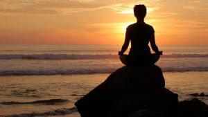 Guiding Light: From A Tiny Seed To A Giant Tree, A Powerful Lesson On Life’s Miracles