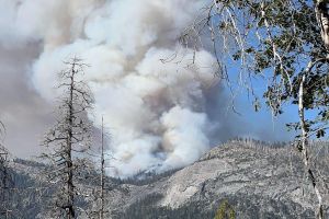 Two killed after helicopter crashes in Yosemite National Park