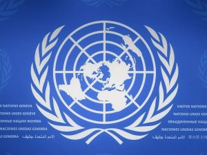 LILLEY: While the world burns, the UN looks away