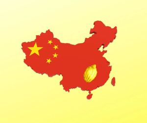 The Etrog’s Chinese Secret