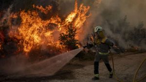 Unha lei para previr incendios, non só para limpar parcelas