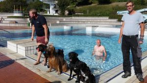 Hunde dürfen am letzten Öffnungstag ins Becken: 85 Vierbeiner und ihre Begleiter vergnügen sich im Freibad