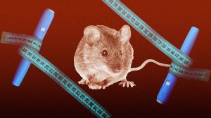 A New Study Suggests Semaglutide Can Help Us Live Longer—And Not Just by Eating Less