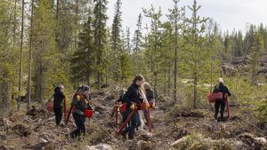 Yhteiskunta | Täytin kolmekymmentä ja vedin herneen nenään