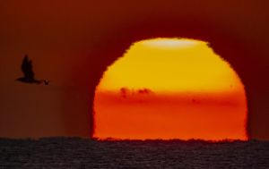 Un verano de cuatro meses bate récords de calor en, al menos, siglo y medio. Fuente Aemet