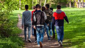 Grundsicherung: Verlieren Hunderttausende Syrer ihren Anspruch? Schutzstatus soll aberkannt werden