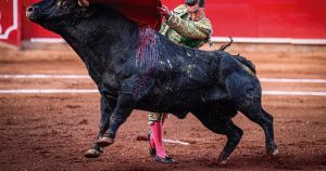 Sangre torera