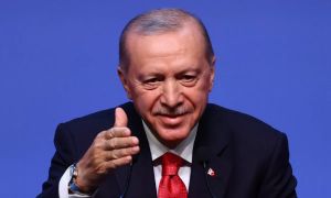 20 let oblasti: Večni Erdoğan želi nov mandat, s predčasnimi volitvami bi obšel ustavo