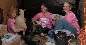 'No dispute' women stole lambs from King's Norfolk estate, jury told