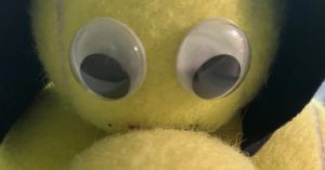 Seagulls Versus Googly Eyes