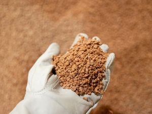 CHARLEBOIS: Trump’s Belarus potash gambit: Canada should stop laughing