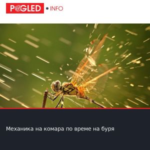 Механика на комара по време на буря