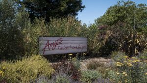 Amy’s Kitchen Built Its Food Empire in Santa Rosa. Now It’s Closing Its First Factory