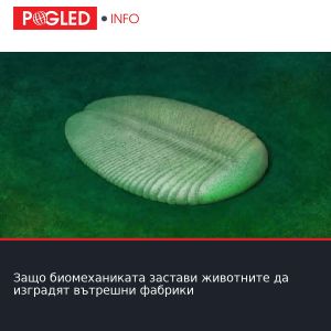 Защо биомеханиката застави животните да изградят вътрешни фабрики