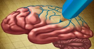 Two Brains in One: Rethinking Split-Brain Models