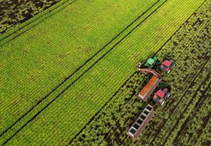 Canada’s food security strategy leaves too much off the table
