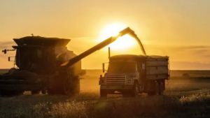 Good news for Milei: Argentine agro-industry projects new record for 2027