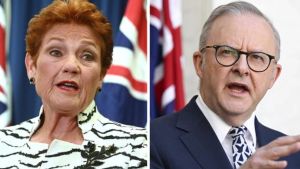 Panahi: The One Nation phenomenon is surging. There’s no going back