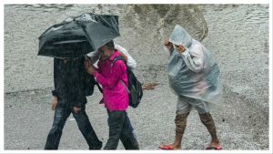 Weather today, September 23: IMD warns of heavy rain and thunderstorms in several states; check full forecast