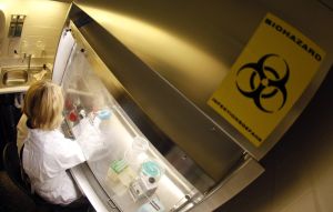 AI’s greatest threat is biological, not robotic