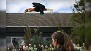 Exotische vogels spotten vanaf je balkon? Avifauna neemt ontsnapte vogels voor lief