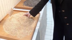 Cersaie, i trend 2026. La Natura sulle pareti tra superfici ondulate e colori della foresta