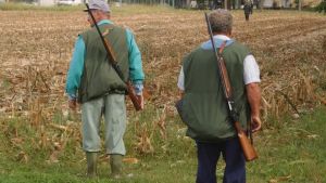 Cacciatori sparano sotto le finestre di casa, arriva il divieto firmato dal sindaco