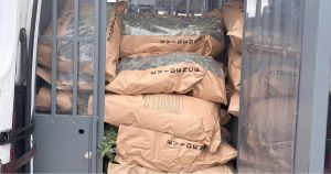 Investigation continues after two cannabis grows discovered in Norfolk town