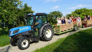 Erlebnisfahrt durch die Obstplantagen: So viel Arbeit steckt in Äpfeln, Pfirsichen und Zwetschgen