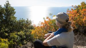 Che autunno sarà? Gli esperti: 