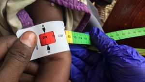 Bericht sieht Risiko einer Hungersnot in Teilen Somalias