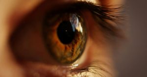 What Can Humans Do That AI Can’t?