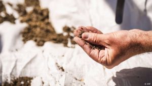 Crisisteam: natte herfst en winter nodig tegen droogteproblemen