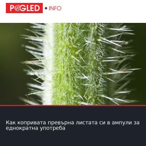 Как копривата превърна листата си в ампули за еднократна употреба