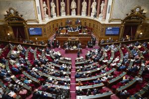 Liens avec des groupes néonazis, passé négationniste, discours anti-IVG… Portraits (sans surprise) des candidats RN aux sénatoriales