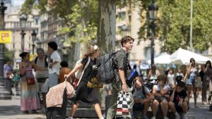 Sondeo GESOP: Siete de cada diez barceloneses apoyan prohibir los pisos turísticos y subir las tasas al viajero