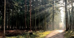 Can Post-Traumatic Growth Help Protect Against Suicide?