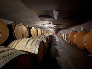 O vinho já não precisa de nós?