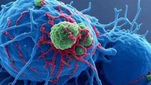 Rising Cancer Incidence