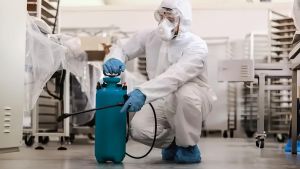 Magenta, nuovo allarme per la presenza dei topi nei reparti del Fornaroli: scatta il piano di derattizzazione