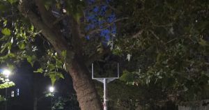Il Comune disprezza la targa per Norma