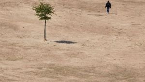 Allianz: Hitze senkt Europas Wirtschaftsleistung